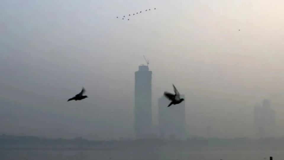 Delhi