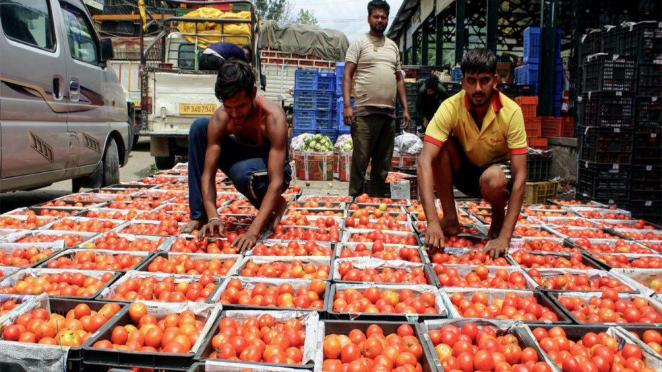 India's wholesale inflation bottomed out, may still remain negative through 2025-26: Report
