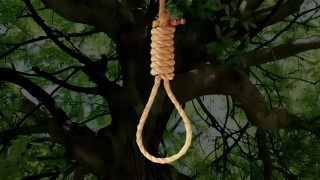 Kanpur: Two minors found hanged in tree in UP, Family alleged assault 
