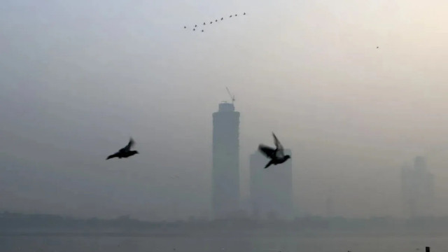 Diwali Aftermath: Delhi Chokes in Smoke, Hill States Face Toxic Air
