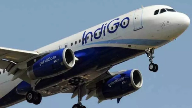 IndiGo Flight Returns to Tirupati After Mid-Air Technical Problem, Passengers Panic