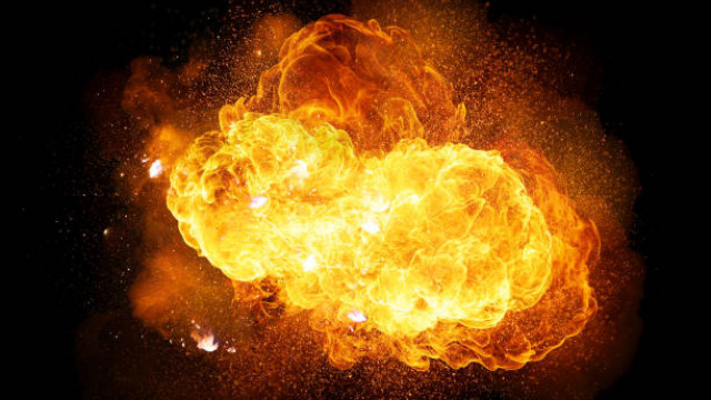 Jharkhand Anti-Naxal Drive Turns Fatal: CRPF Sniffer Dog Loses Life in IED Explosion