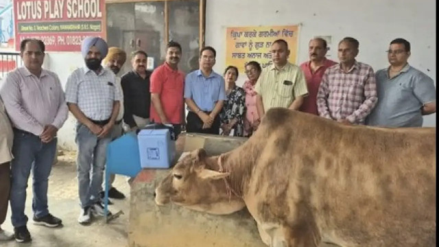Punjab Govt Rolls Out Emergency Campaign to Safeguard Animals from Post-Flood Illnesses