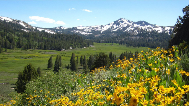 What is 'Alpine Divorce'? Why is this terrifying trend going viral?