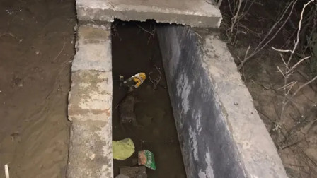 Second Tragedy in Days, Man Loses Life After Plunging Into Open Manhole on Delhi Road