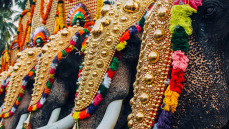 Kerala: Elephant attacks man during temple festival, throws him in the air