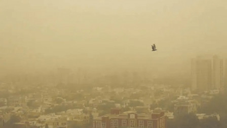 Major relief for Delhi-NCR as CAQM lifts GRAP-IV restrictions, THESE measures to remain