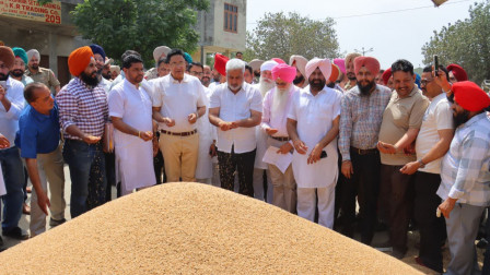 Punjab Government committed to procuring every grain of wheat at MSP: Kataruchak