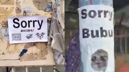 Sorry Bubu! Mysterious posters appear overnight in Noida, Meerut, leaves residents scratching their 