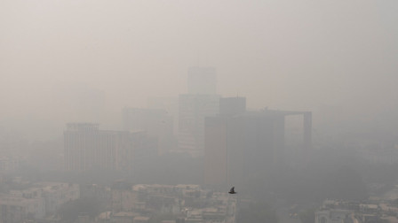 Weather Report: Will it rain after the intense cold spell in North India? IMD predicts snowfall in t