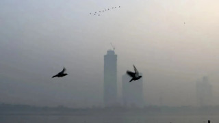 Delhi
