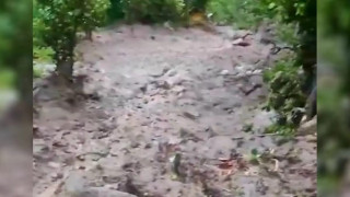 Ramban Cloudburst