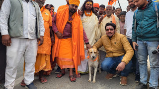 Uttar Pradesh: What is medical condition of Bijnor dog that circumambulate Lord Hanuman's idol? Doct