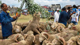 Eid-ul-Adha: Inflation dampens festive spirit Ahead of Bakrid