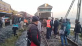 Assam Train Accident: Elephants Killed as Rajdhani Express Derails