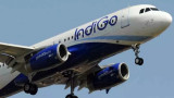 Indigo
