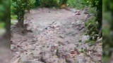 Ramban Cloudburst