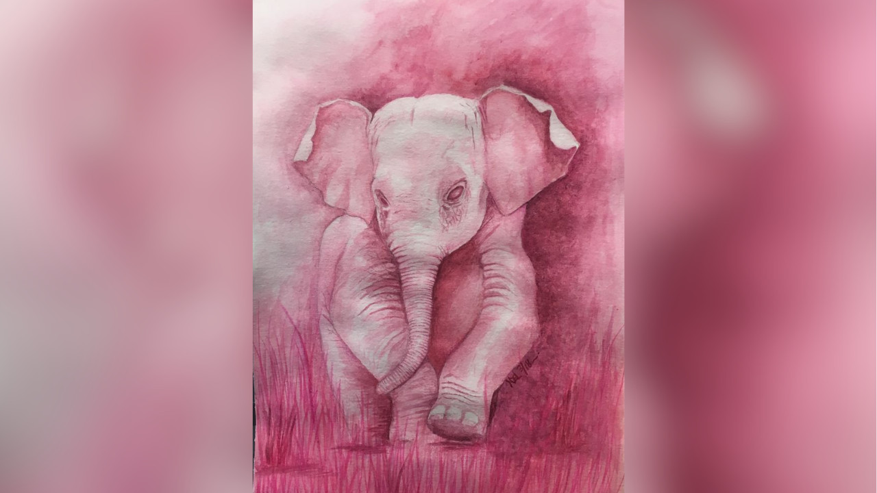  How the Pink Elephant Test Reveals Our Mental Struggles