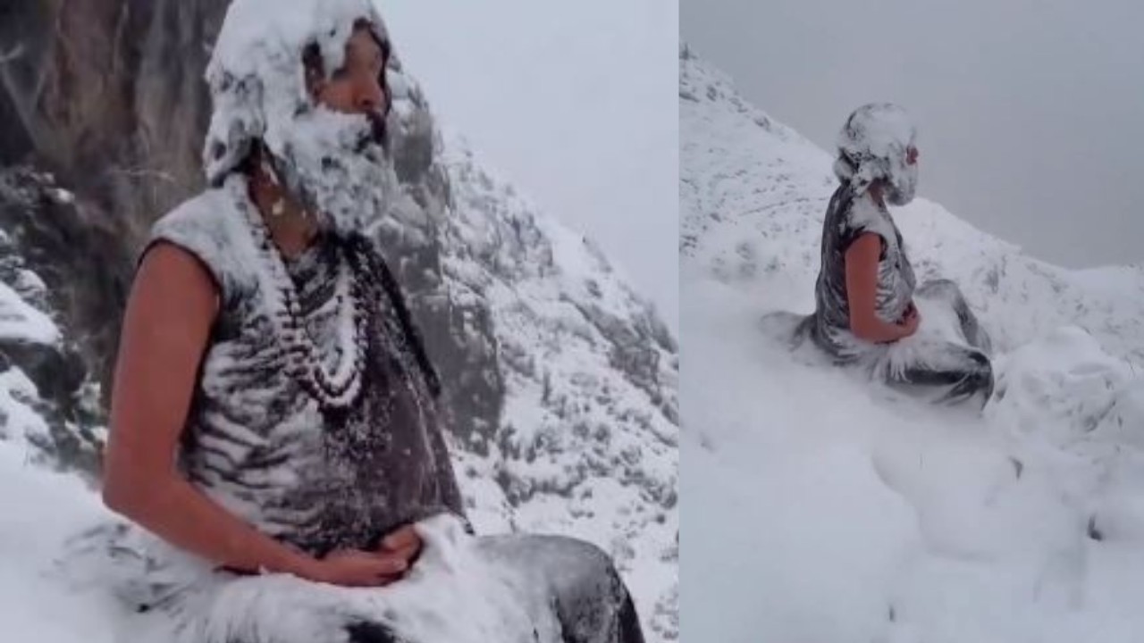 Yogi from viral video