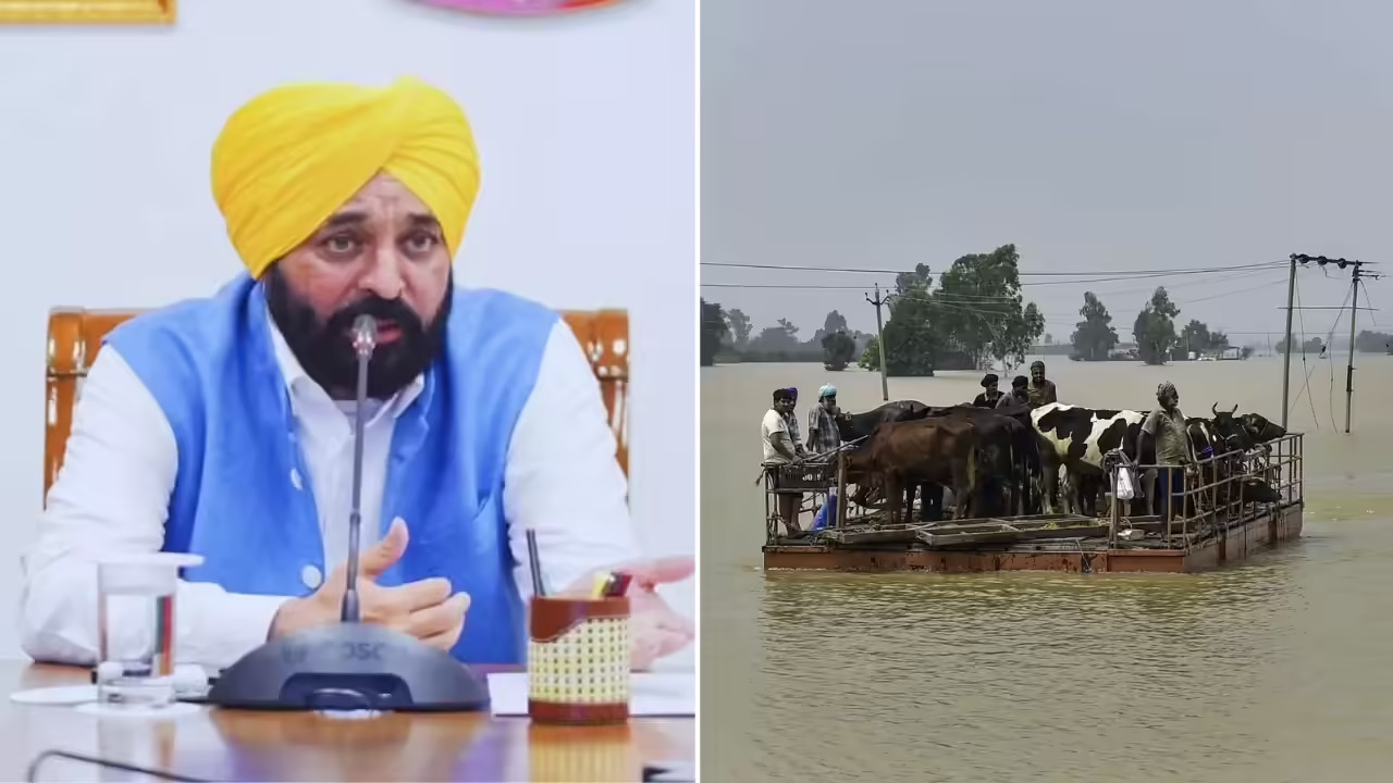 After Devastating Floods, Mann Government Launches Campaign to Restore Punjab