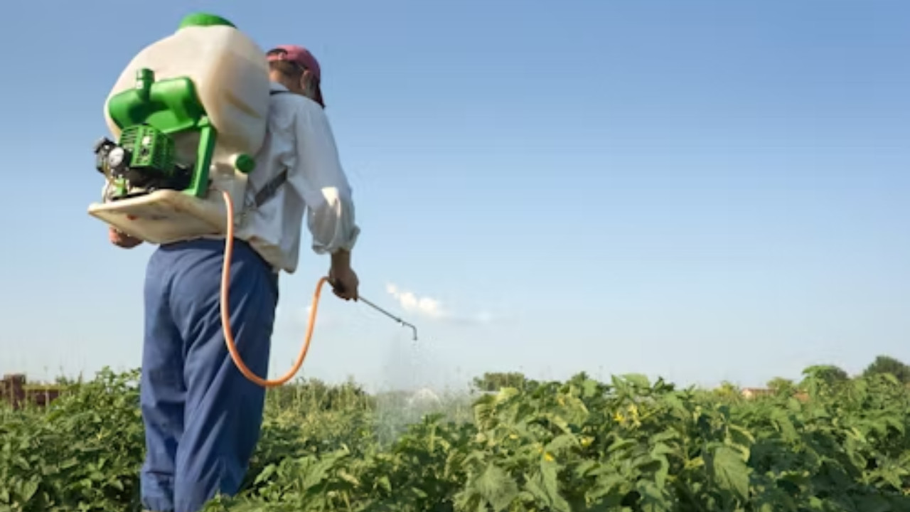 Agriculture GVA Growth Likely to Ease to 4.5% in Q1 FY26: ICRA