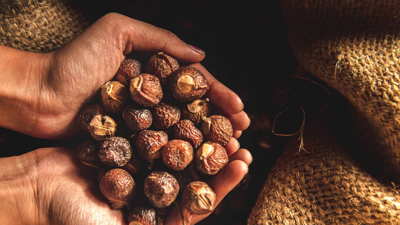 Assam: 13 children fall ill after consuming soapnuts in Jorhat, three critical
