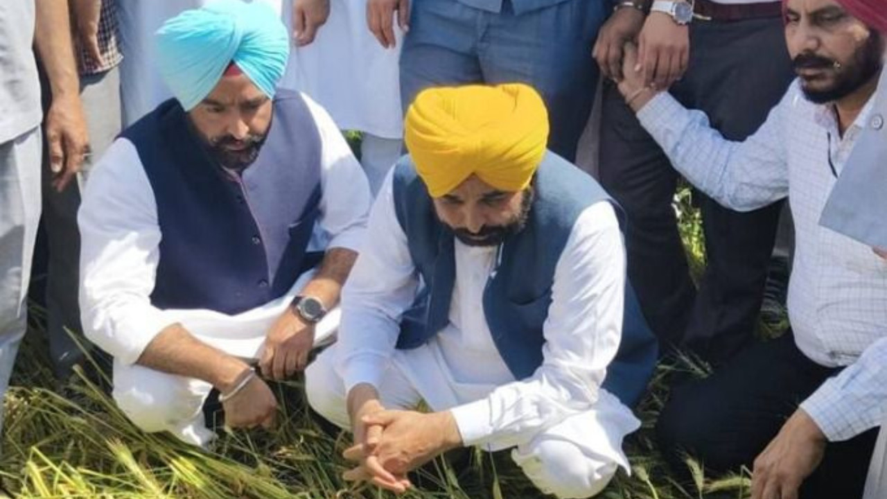 CM Mann’s Special Girdawari to Compensate Every Affected Farmer in Punjab