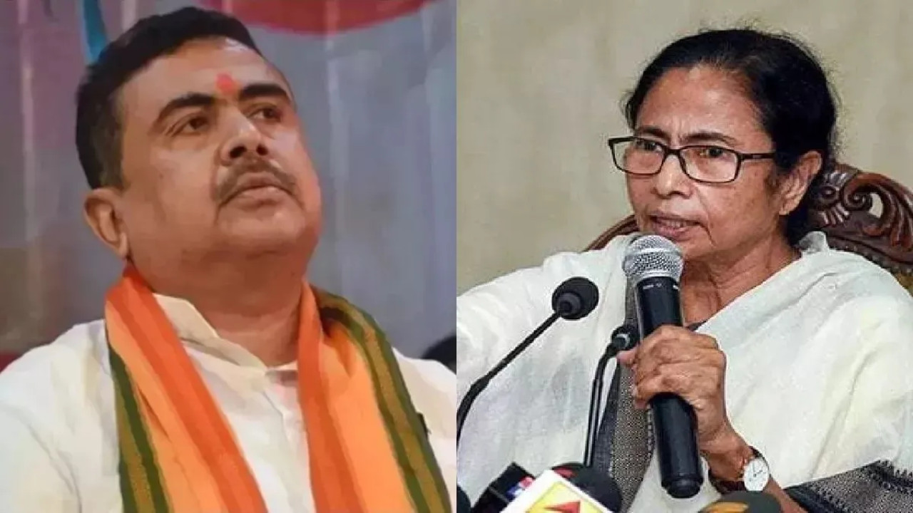 Damaged Kali Idol in Bengal Sparks Controversy, BJP Blames TMC Government