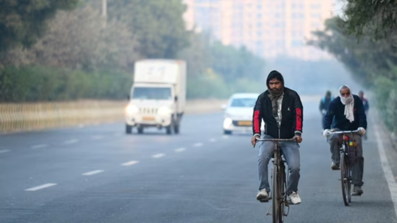 Road accidents in ncr