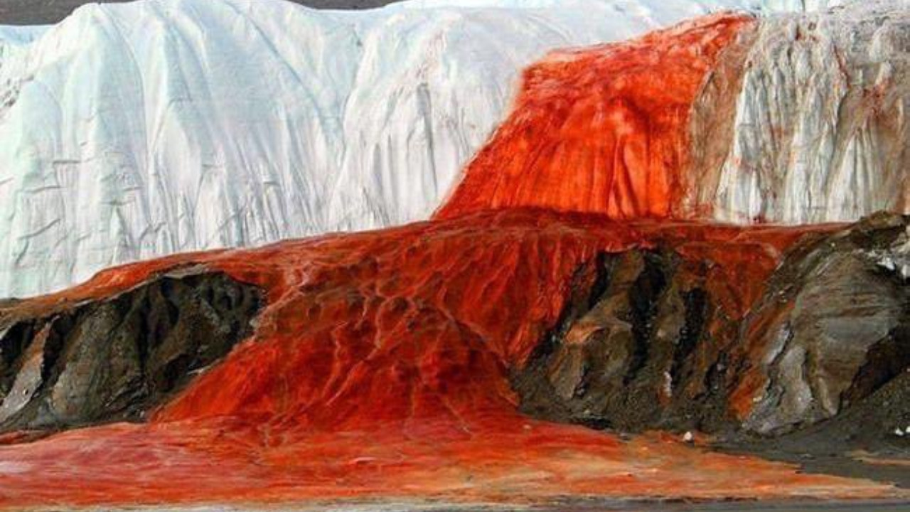 Fascinating Mystery of Antarctica's Blood Waterfall