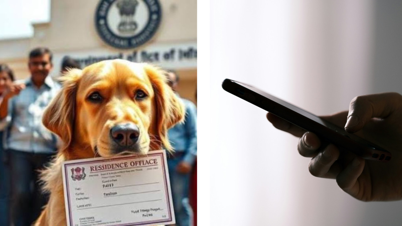 From 'Dogesh Babu' to 'Samsung' case: Another Fake Form in Bihar Goes Viral