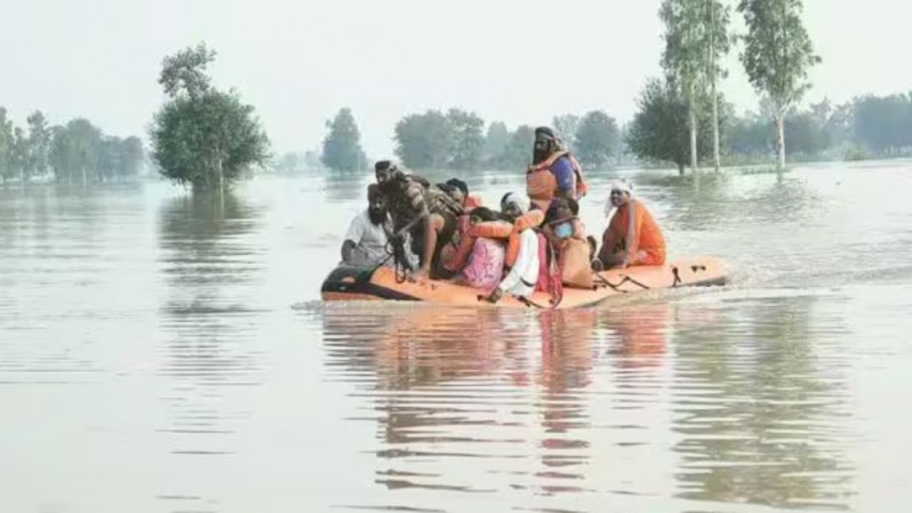 Harpal Singh Cheema: Aid to Afghanistan, Why Hesitation in Helping Flood Hit Punjab?