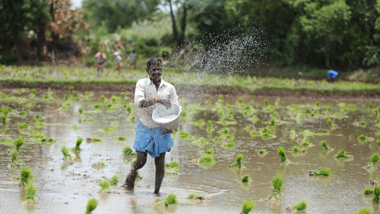 Improved Kharif Sowing May Lower Food Prices, Boost Rural Economy: Report