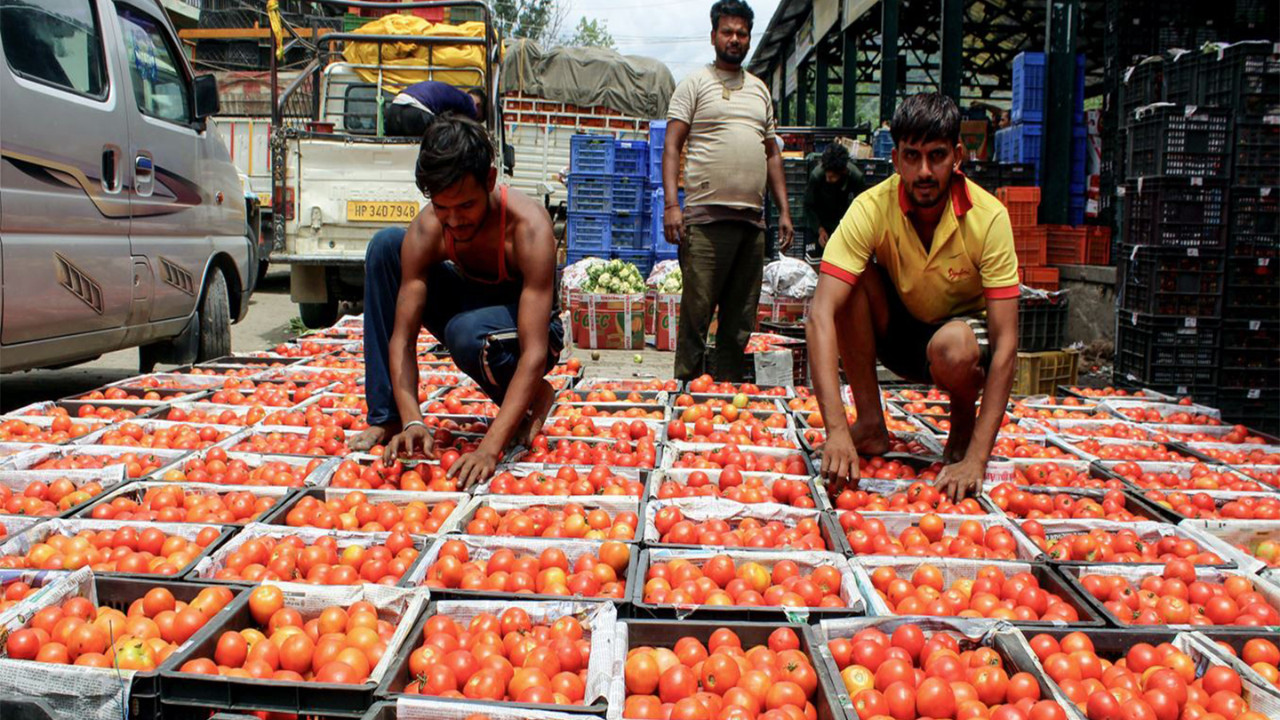 India's wholesale inflation bottomed out, may still remain negative through 2025-26: Report