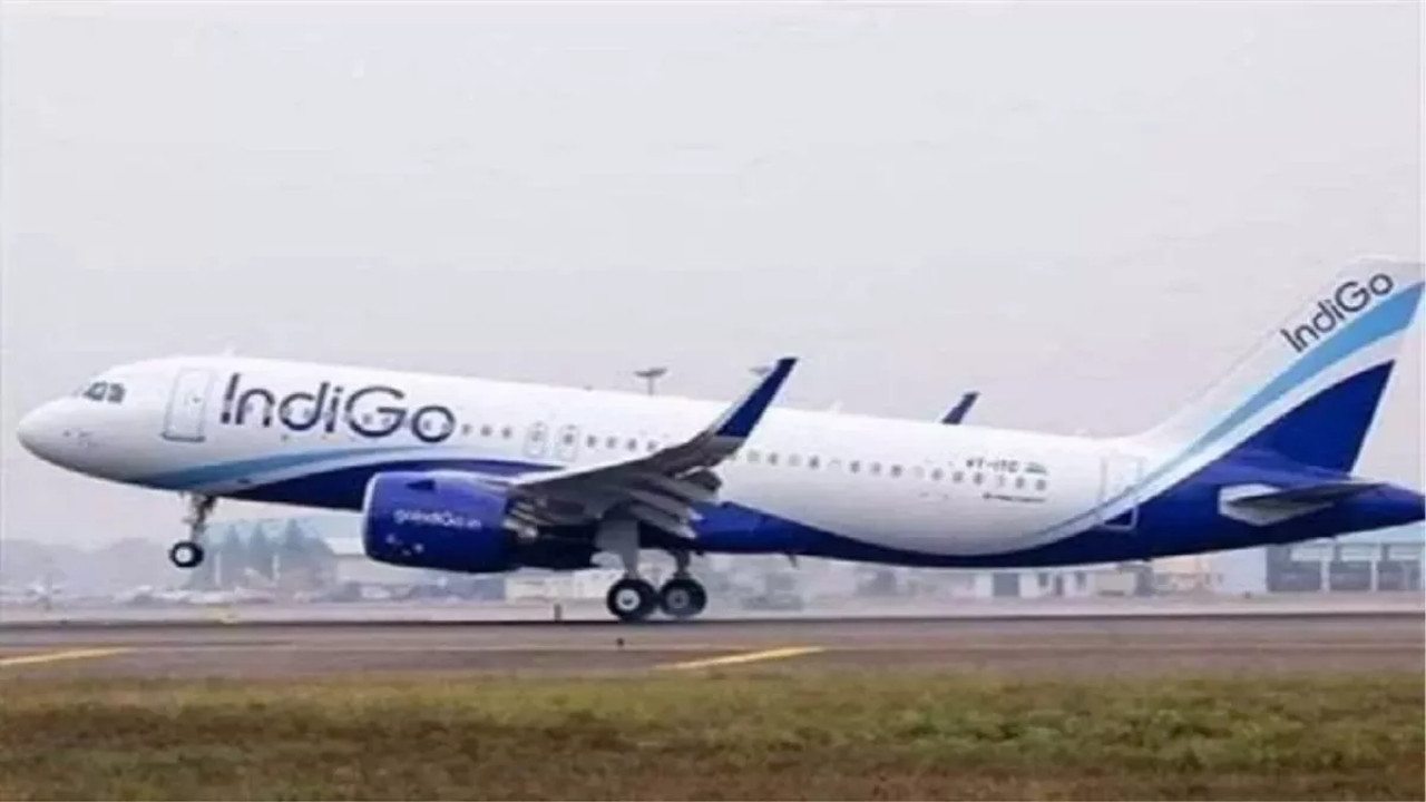 Indigo