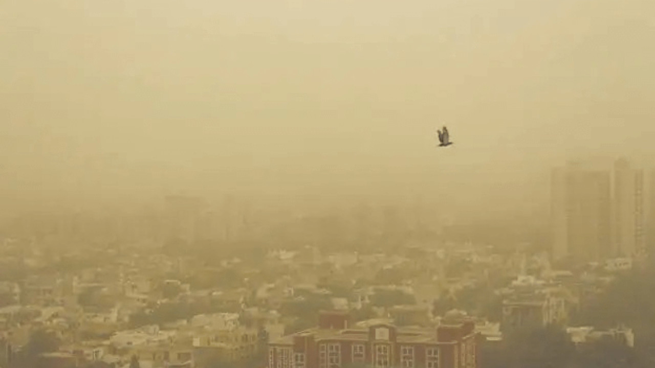 Major relief for Delhi-NCR as CAQM lifts GRAP-IV restrictions, THESE measures to remain