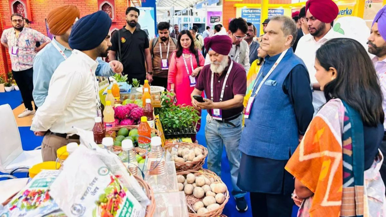 Mann Government’s Big Change: Food Processing Raises Farmers’ Income and Creates Jobs in Punjab