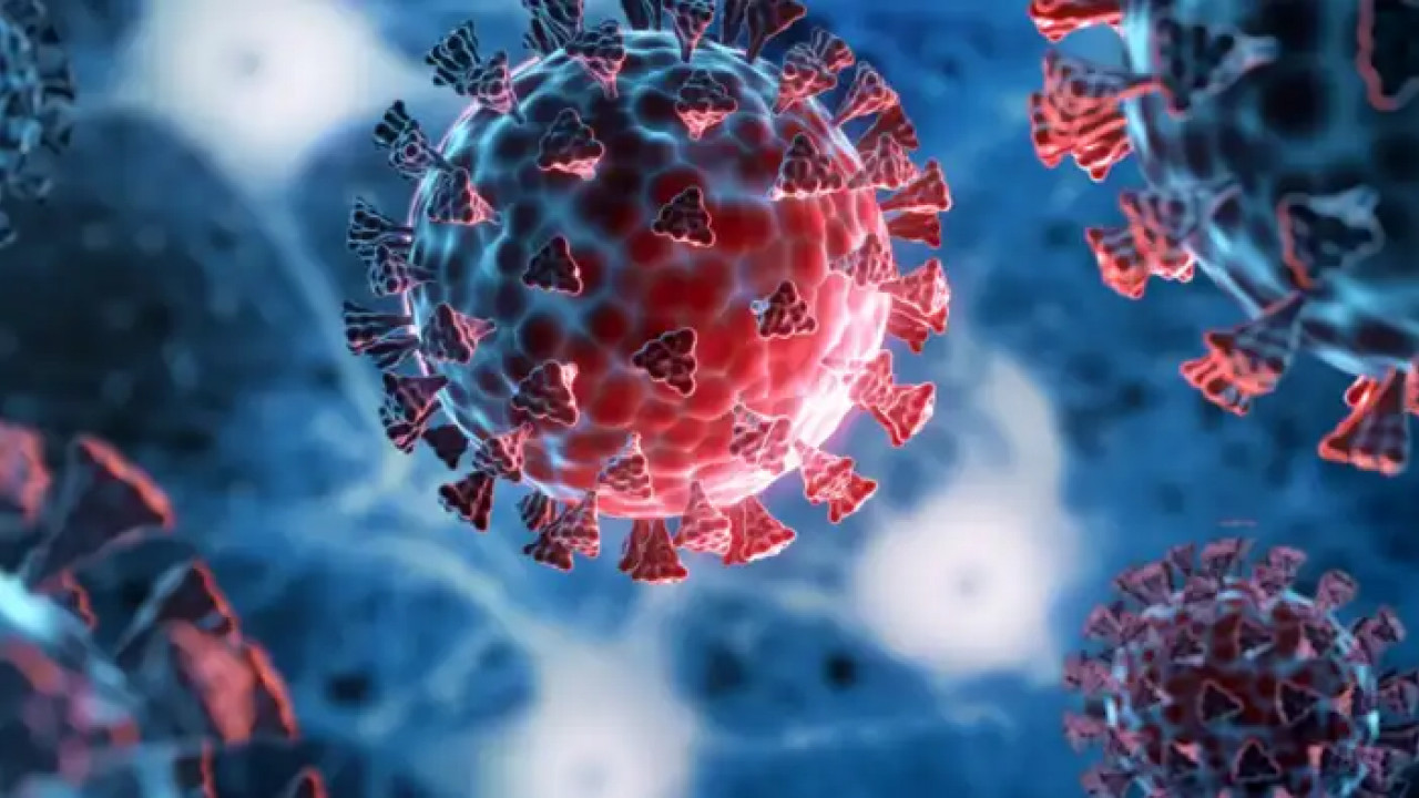 Corona's NB.1.8.1 variant