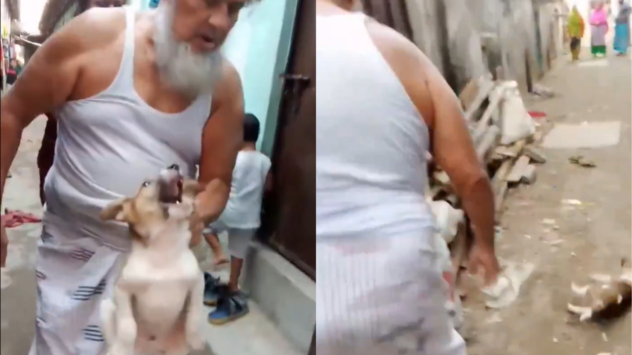 Neighbor's Cruelty Shatters a Hindu Family's Kindness Towards Street Dogs