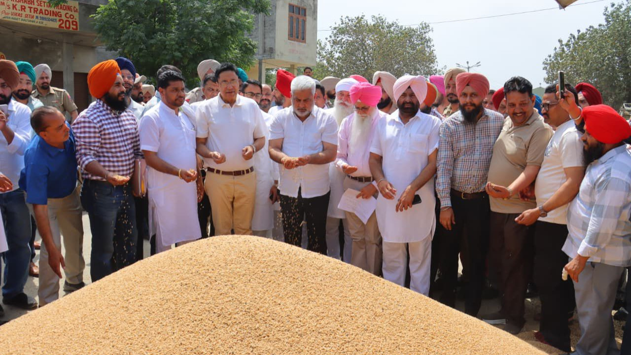 Punjab Government committed to procuring every grain of wheat at MSP: Kataruchak