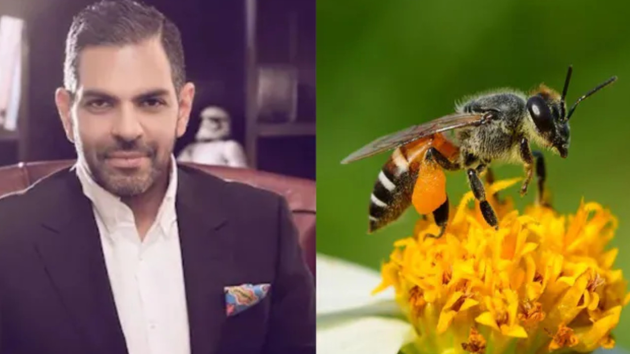 Sanjay Kapoor Died After Bee Entered His Mouth; Expert Advises What To Do If Fly or Mosquito Goes In