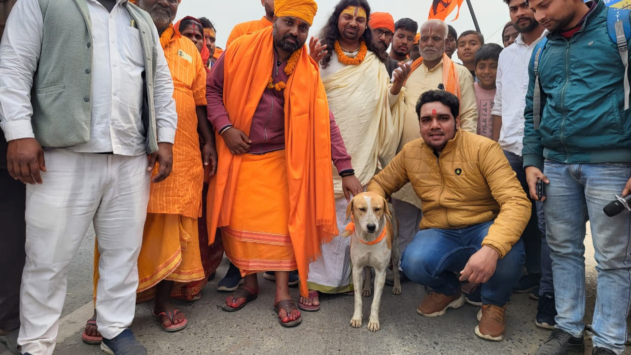 Uttar Pradesh: What is medical condition of Bijnor dog that circumambulate Lord Hanuman's idol? Doct