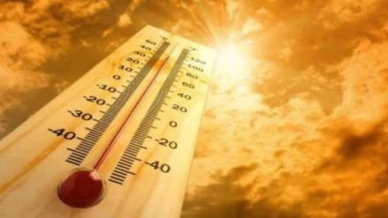 Weather Forecast: When will North India get relief from heatwave? Know IMD rain alert