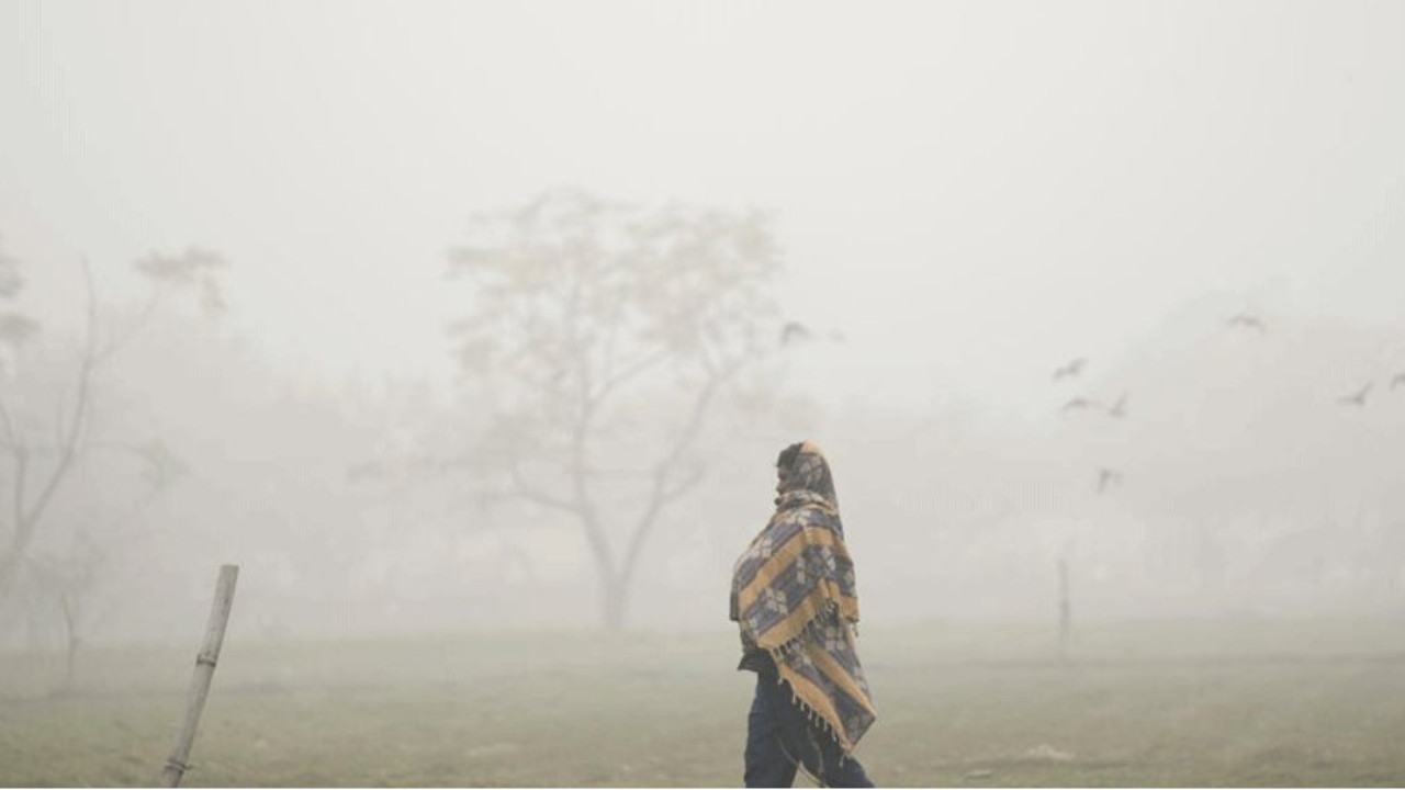 Weather Report: IMD predicts cold wave in northern India, heavy rain in south