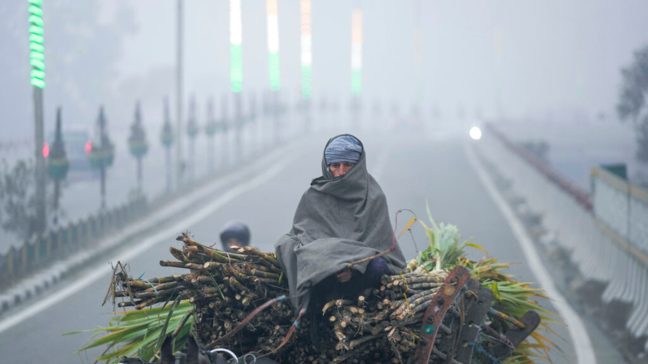 Weather Report: Will there be any relief from intense cold? Know IMD forecast