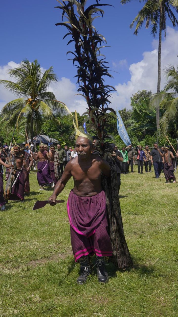 Who are the Lamaholot?