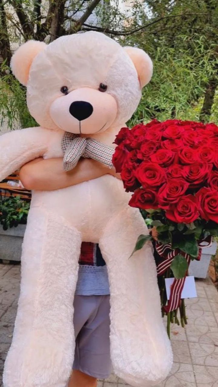 Significance of Teddy Day